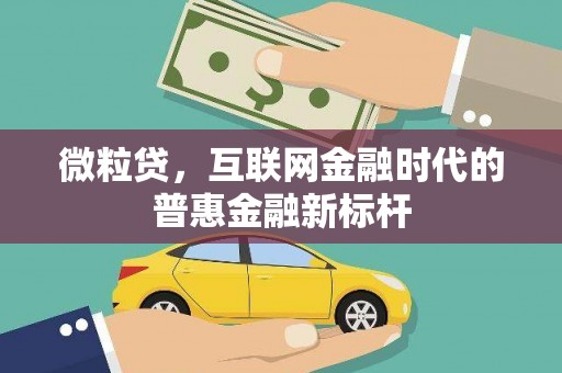 长寿微粒贷，互联网金融时代的普惠金融新标杆