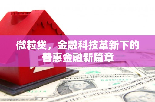 长寿微粒贷，金融科技革新下的普惠金融新篇章