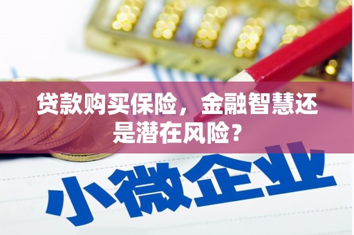长寿贷款购买保险，金融智慧还是潜在风险？