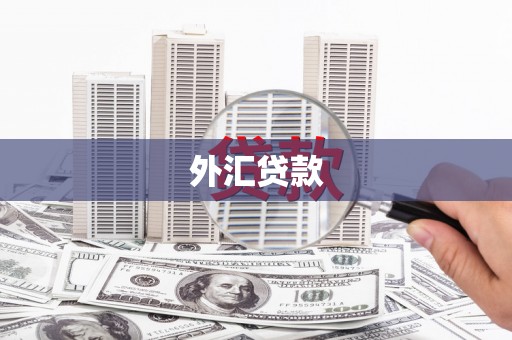 长寿外汇贷款