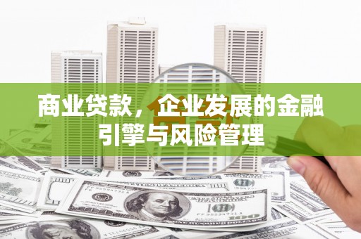 长寿商业贷款，企业发展的金融引擎与风险管理