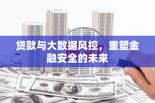 长寿贷款与大数据风控，重塑金融安全的未来