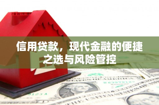 长寿信用贷款，现代金融的便捷之选与风险管控