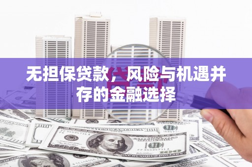 长寿无担保贷款，风险与机遇并存的金融选择