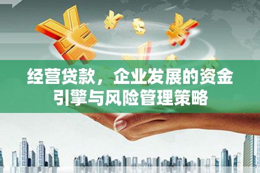 长寿经营贷款，企业发展的资金引擎与风险管理策略