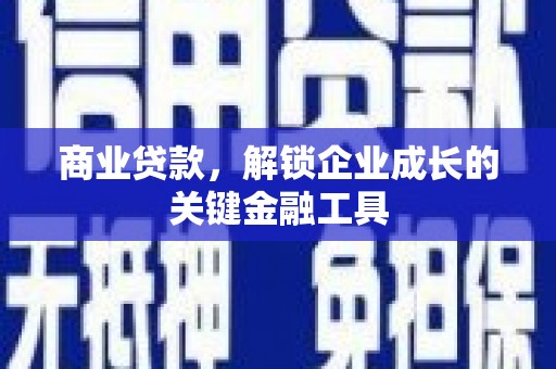 长寿商业贷款，解锁企业成长的关键金融工具