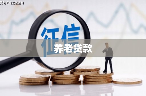 长寿养老贷款