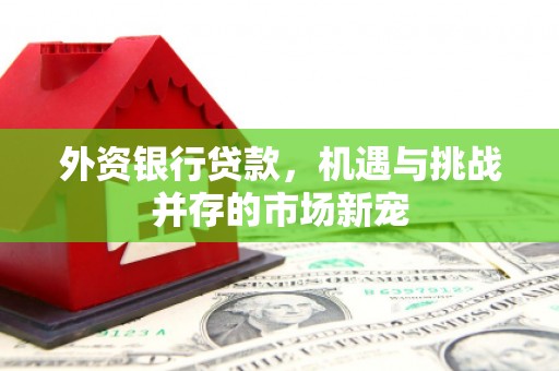 长寿外资银行贷款，机遇与挑战并存的市场新宠