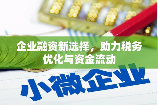 长寿企业融资新选择，助力税务优化与资金流动