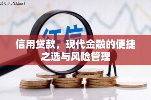 长寿信用贷款，现代金融的便捷之选与风险管理