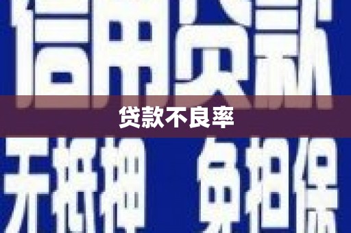 长寿贷款不良率