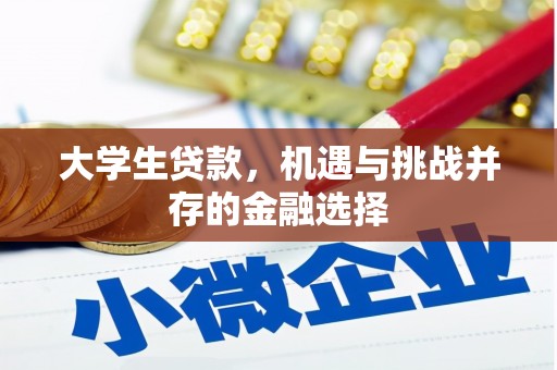 长寿大学生贷款，机遇与挑战并存的金融选择