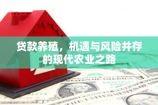 长寿贷款养殖，机遇与风险并存的现代农业之路