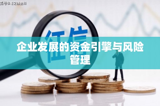 长寿企业发展的资金引擎与风险管理