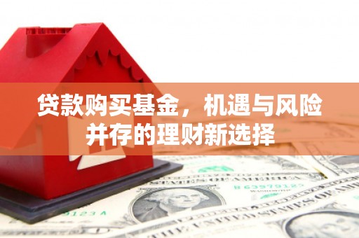 长寿贷款购买基金，机遇与风险并存的理财新选择