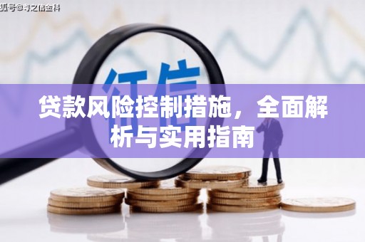 长寿贷款风险控制措施，全面解析与实用指南
