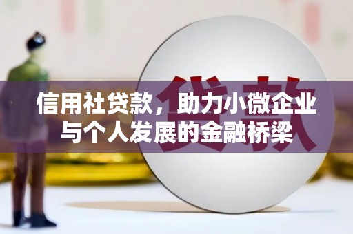 长寿信用社贷款，助力小微企业与个人发展的金融桥梁