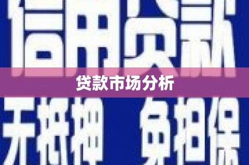 长寿贷款市场分析