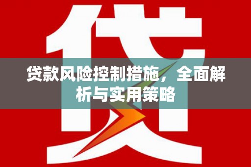 长寿贷款风险控制措施，全面解析与实用策略