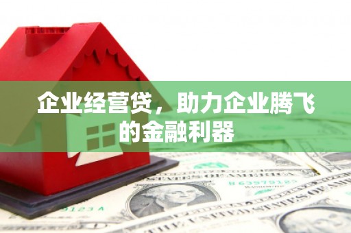 长寿企业经营贷，助力企业腾飞的金融利器