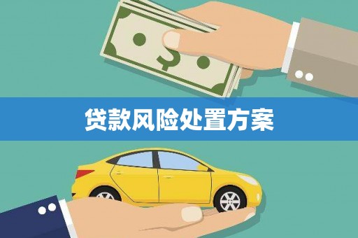 长寿贷款风险处置方案