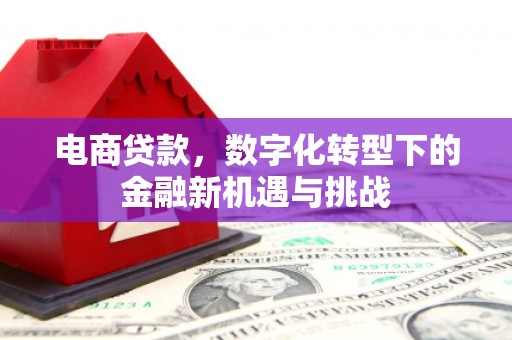 长寿电商贷款，数字化转型下的金融新机遇与挑战