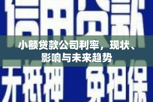 长寿小额贷款公司利率，现状、影响与未来趋势