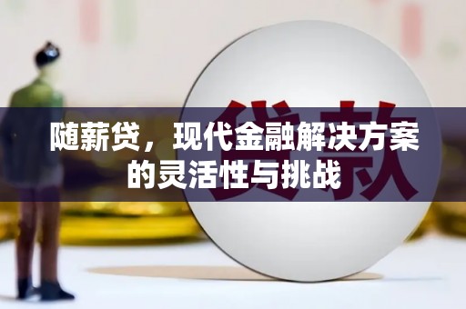 长寿随薪贷，现代金融解决方案的灵活性与挑战