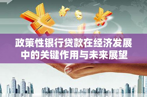 长寿政策性银行贷款在经济发展中的关键作用与未来展望
