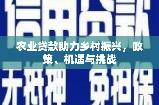 长寿农业贷款助力乡村振兴，政策、机遇与挑战