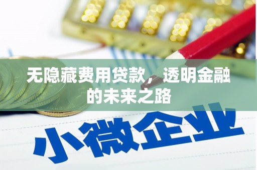 长寿无隐藏费用贷款，透明金融的未来之路