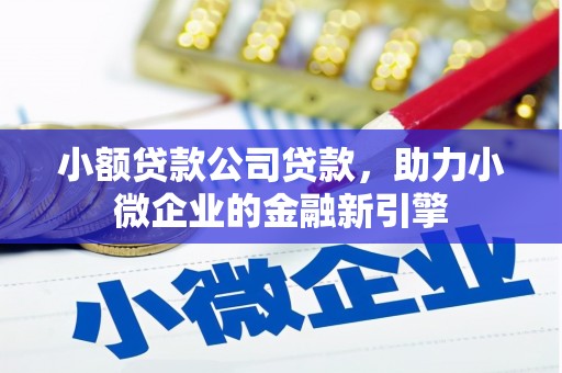 长寿小额贷款公司贷款，助力小微企业的金融新引擎