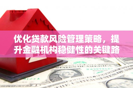 长寿优化贷款风险管理策略，提升金融机构稳健性的关键路径