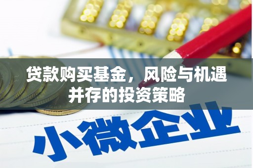 长寿贷款购买基金，风险与机遇并存的投资策略
