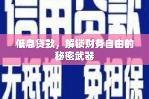 长寿低息贷款，解锁财务自由的秘密武器