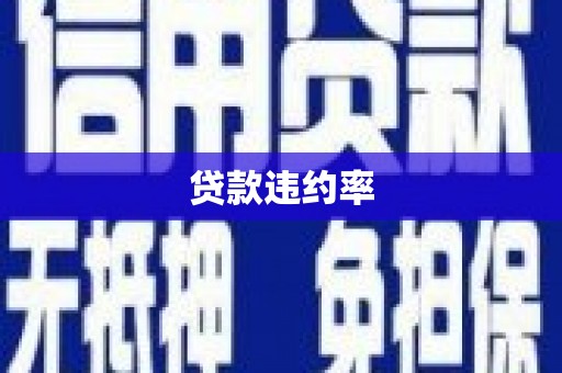 长寿贷款违约率