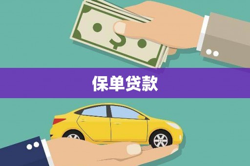长寿保单贷款