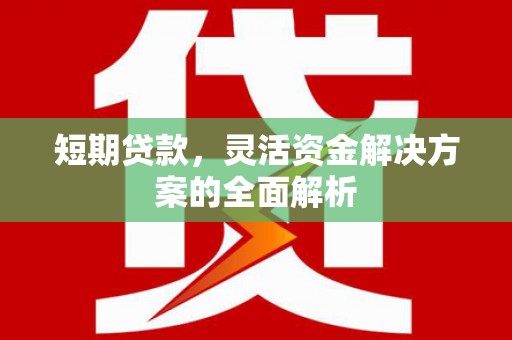 长寿短期贷款，灵活资金解决方案的全面解析