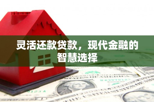 长寿灵活还款贷款，现代金融的智慧选择