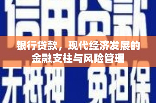 长寿银行贷款，现代经济发展的金融支柱与风险管理