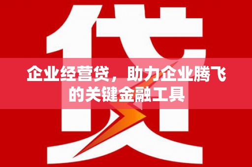 长寿企业经营贷，助力企业腾飞的关键金融工具