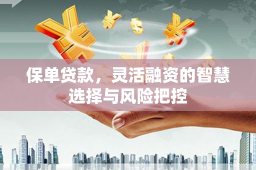 长寿保单贷款，灵活融资的智慧选择与风险把控