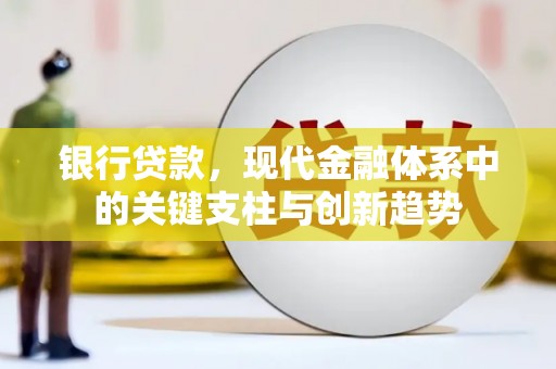 长寿银行贷款，现代金融体系中的关键支柱与创新趋势