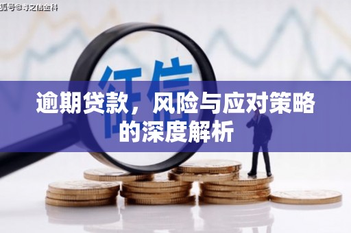 长寿逾期贷款，风险与应对策略的深度解析