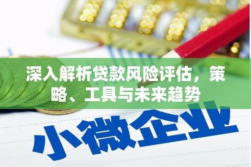 长寿深入解析贷款风险评估，策略、工具与未来趋势