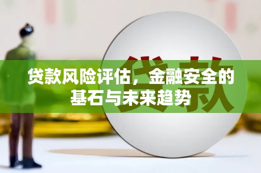 长寿贷款风险评估，金融安全的基石与未来趋势