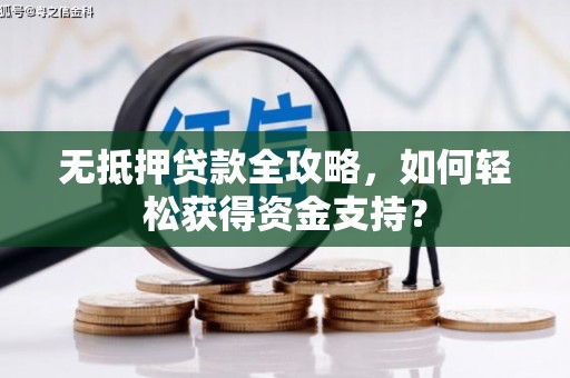 长寿无抵押贷款全攻略，如何轻松获得资金支持？