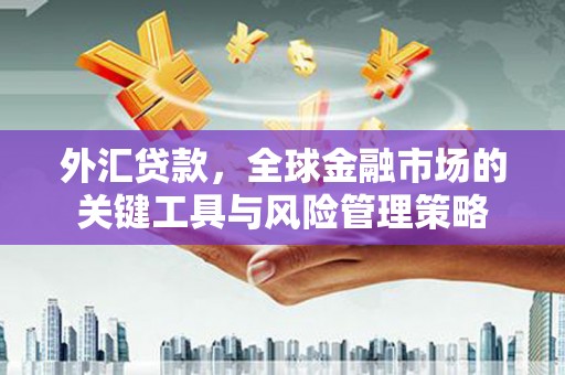 长寿外汇贷款，全球金融市场的关键工具与风险管理策略
