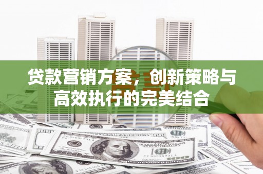 长寿贷款营销方案，创新策略与高效执行的完美结合