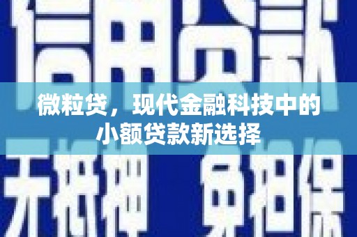 长寿微粒贷，现代金融科技中的小额贷款新选择